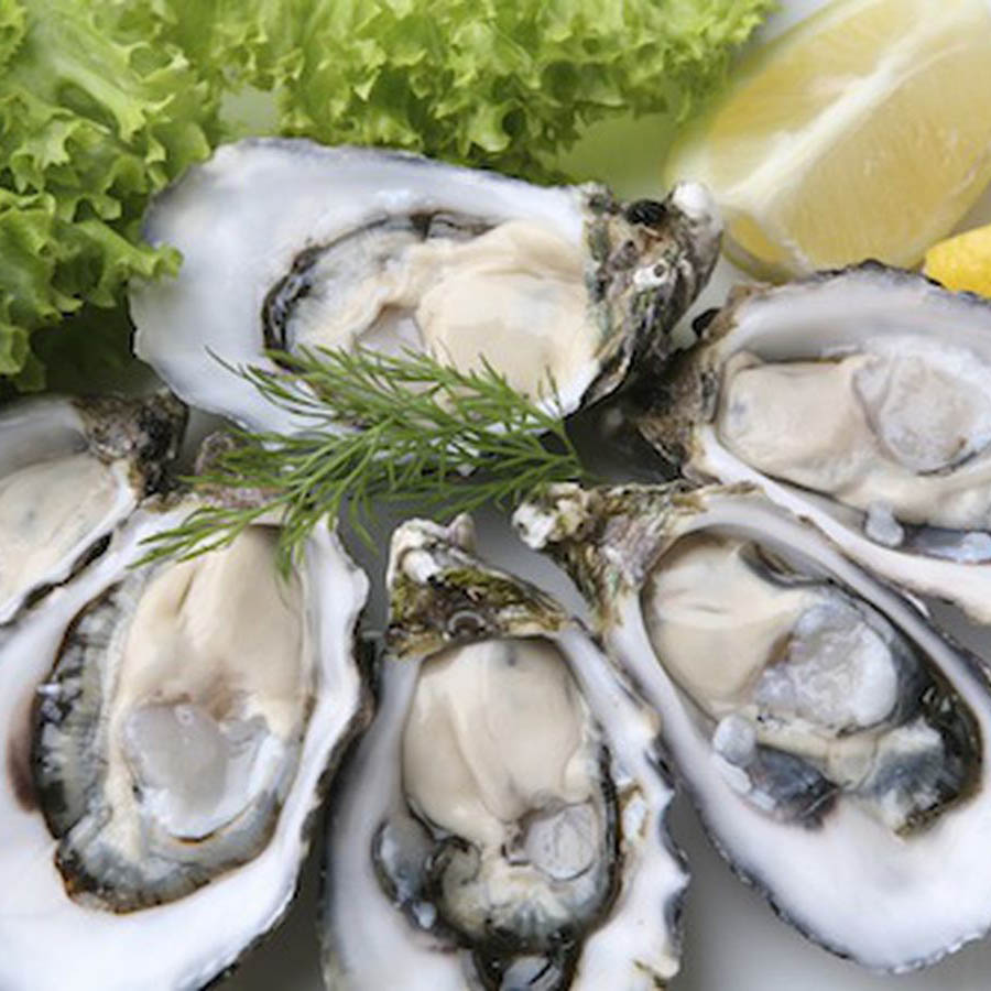 新鮮生蠔 Freshly Shucked Oysters