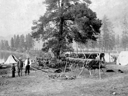 鮭魚為菲沙河原住民主要的傳統食物之一。（BC ARCHIVES i-30818）