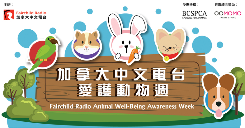 Animal Well-being「加拿大中文電台愛護動物週」前奏 - 受虐動物檔案 (2)