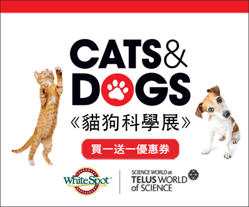 每位付費成人可免費攜同一位兒童（3 至 12 歲）入場，有效期至 2020 年 1 月 5 日，請按以上圖像連結 Science World 優惠券網頁。