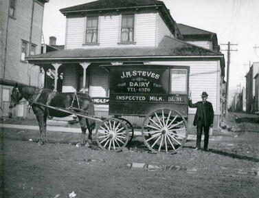 1900 年代 Steveston 區農場的牛奶車。（City of Richmond Archives）