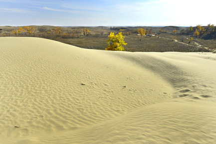 高堆沙丘每年漸向東移近一米。