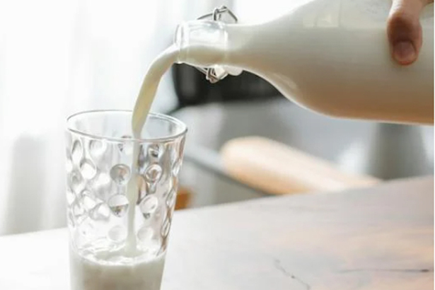 一小杯「蟑螂奶」的營養是牛奶 4 倍，還包含了促進生長的氨基酸和人體所需的脂肪和糖類，而且生產過程比奶牛養殖更加環保，但是你敢喝嗎？(Photo by Pexels)