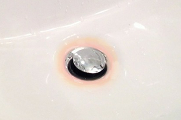 健康專家 Karan Rangarajan 指浴室內常見的粉紅色污漬其實並非霉菌，而是細菌，其中又以粘質沙雷氏菌（Serratia marcescens）最普遍。