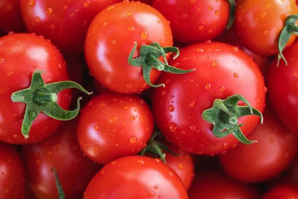 5 片葉子的番茄成熟的時間較早，所以接受光照的時間就會比較短。相反，6 片葉子的番茄就屬於成熟期晚，光照時間也較長，所以吃起來會比較甜。(Photo by PIxabay)
