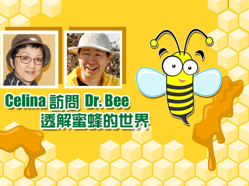 Celina 訪問 Dr. Bee - 探究蜜蜂王國 