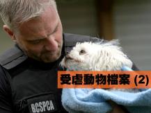 加拿大中文電台愛護動物週前奏 - 受虐動物檔案 (2)1746068554