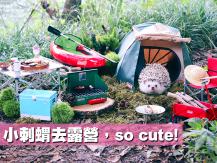 Hedgehog Azuki 小刺蝟去露營 還有整套野炊工具！