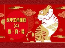 Zodiac Fortune Telling 虎年生肖運程 (4) - 雞、狗、豬1746068553