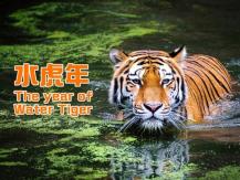 Water Tiger 杜魯多提及的「水虎年」你聽過嗎？