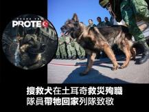 Rescue dog 搜救犬在土耳奇救災殉職　