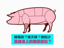 Pig 豬橫脷 豬天梯 豬拖沙 是豬的哪個部位？