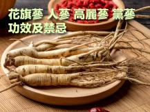 Ginseng 花旗蔘、人蔘、高麗蔘、黨蔘的功效及禁忌