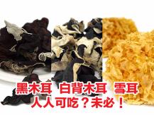 Wood ear fungus 黑木耳 白背木耳 雪耳 人人可吃？未必！