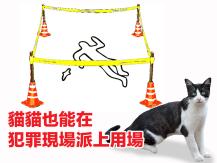 Cat 貓咪終於能在犯罪現場派上用場！