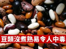 Beans 豆類沒煮熟易令人中毒