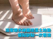 Bath mat 浴室「吸水神器」珪藻土地墊 優點缺點一次看清