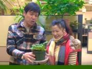 Earth Month 林嘉華的辦公室種植小講堂