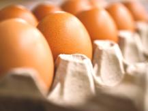 Eggs 雞蛋生熟營養有差？「最佳吃法」吸收率 99％1746068553