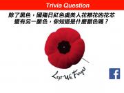 Remembrance Day Facebook 競猜遊戲1746068554