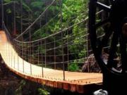 Suspension Bridges 大溫的 10 條吊橋 大部份是免費景點！