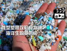 Microplastics pollution 全球 9 成食鹽含微塑膠 首次在人類糞便發現膠粒 2018-11-07 (星期三)