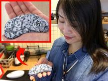 Stone art 超可愛動物石頭彩繪