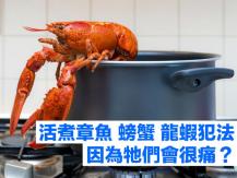 Seafood 英將立法禁止活煮章魚 螃蟹 龍蝦
