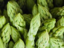Asparagus 抗癌之王 蘆筍1746069277
