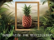 Pineapple 一顆要價 US$400 的鳳梨 你會買嗎？1746069277