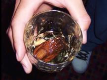 Sourtoe Cocktail 加國獨產「臭腳調酒」臭名遠播 擄獲十萬人1746069277
