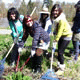 Tree-planting Fun 植樹好玩超爽