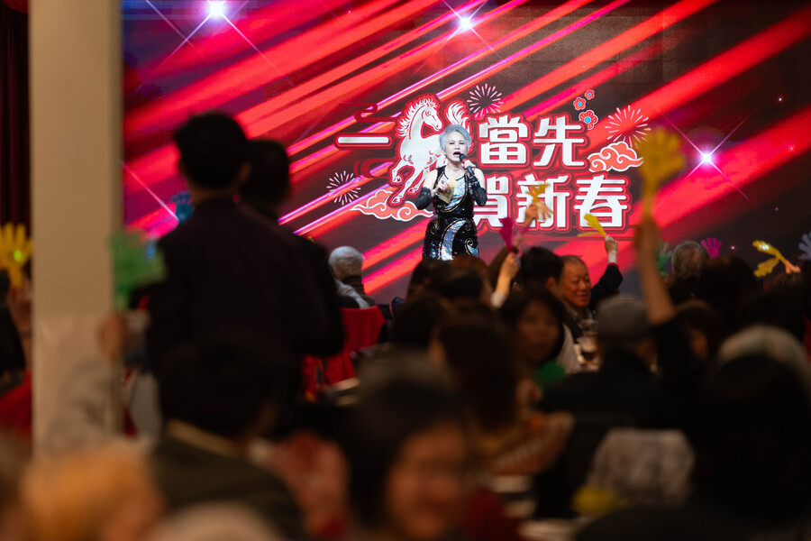 《一馬當先賀新春》圖片集13792