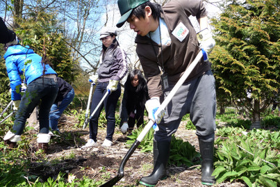 Tree-planting Fun 植樹好玩超爽