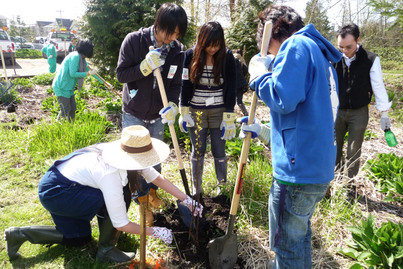 Tree-planting Fun 植樹好玩超爽