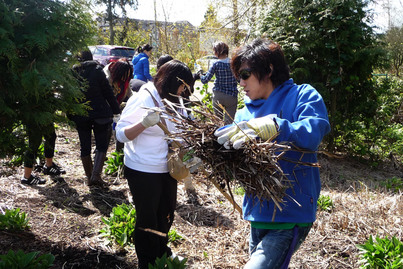 Tree-planting Fun 植樹好玩超爽