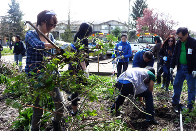 Tree-planting Fun 植樹好玩超爽