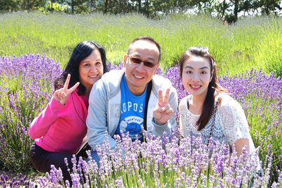 春田花花 Lavender