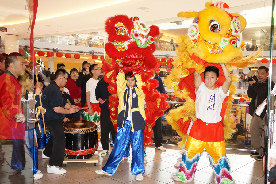 CNY Lion Dance 大年初一雙獅採青