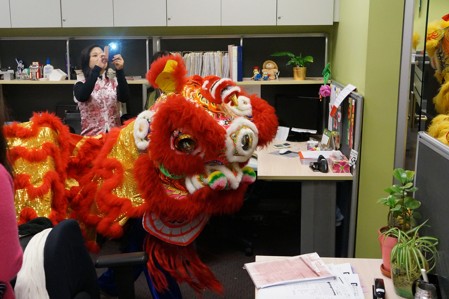 CNY Lion Dance 大年初一雙獅採青4654