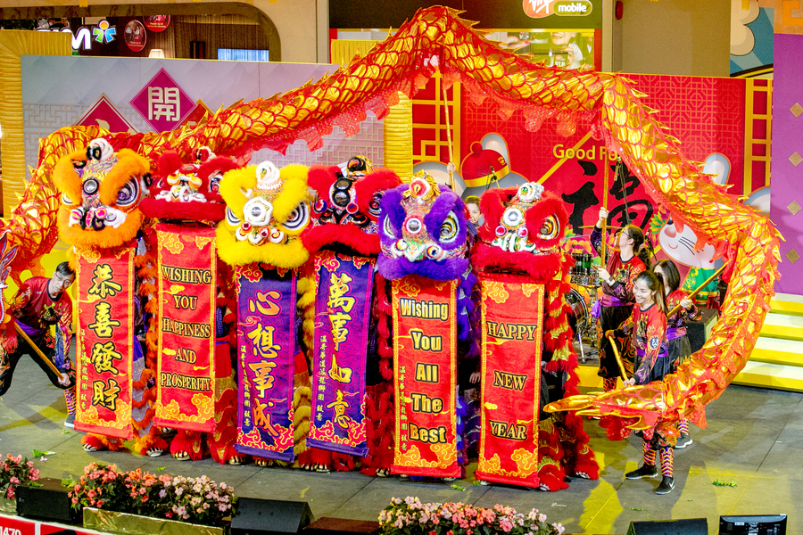 CNY「金鼠吉祥賀新春」圖片集9772