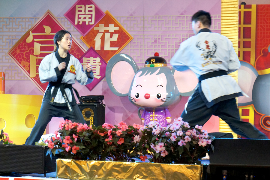 CNY「金鼠吉祥賀新春」圖片集9807