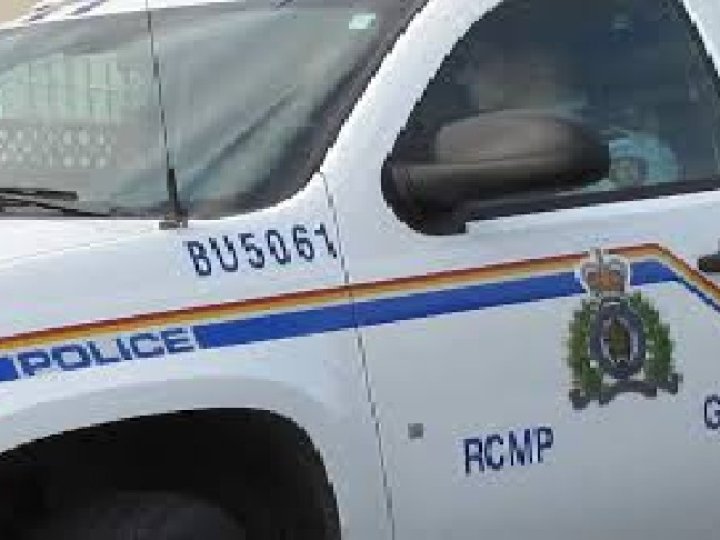 本拿比皇家騎警說上月在Metrotown一帶進行為期2日的行動當中合共拘捕22名案件涉嫌人