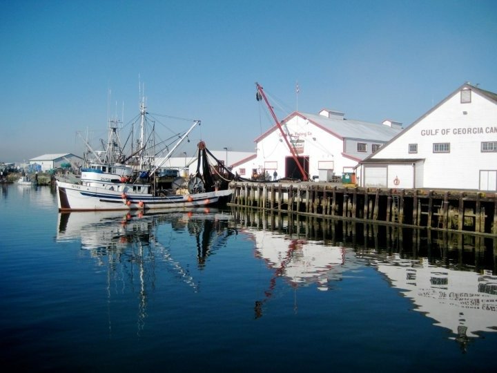 Steveston 碼頭遊艇起火 無人受傷