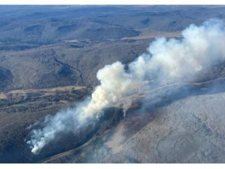 BC省目前有82宗活躍山火