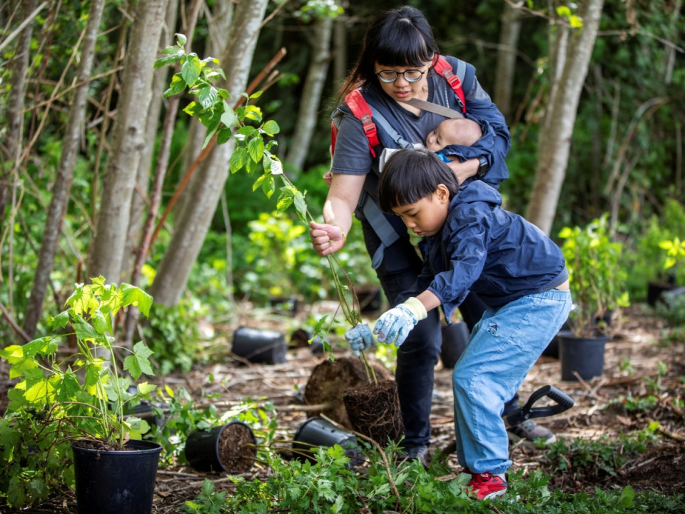 Featured News-素里市年度Releaf植樹計劃本月27日揭幕