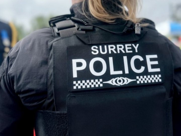 南亞裔男子涉素里搶手機及性侵被捕