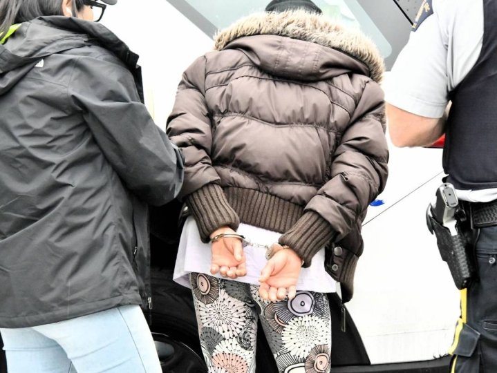 警方打擊楓樹嶺店舖盜竊拘7人