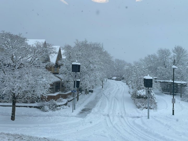 環境部繼續向卑詩省內陸地區發特別天氣聲明 指可能會有積雪