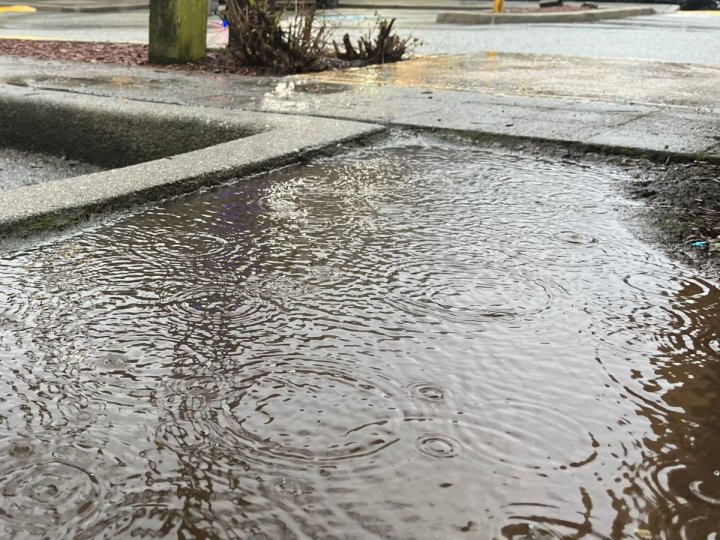 加拿大環境部繼續向大溫地區發出大雨警告